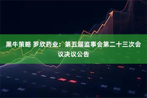黑牛策略 罗欣药业：第五届监事会第二十三次会议决议公告