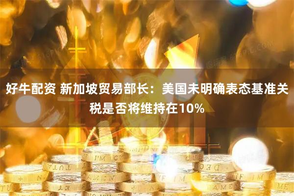 好牛配资 新加坡贸易部长：美国未明确表态基准关税是否将维持在10%