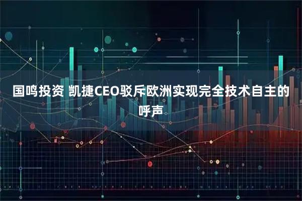 国鸣投资 凯捷CEO驳斥欧洲实现完全技术自主的呼声