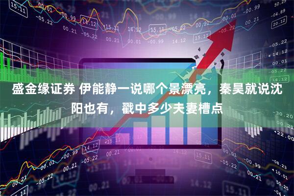 盛金缘证券 伊能静一说哪个景漂亮，秦昊就说沈阳也有，戳中多少夫妻槽点