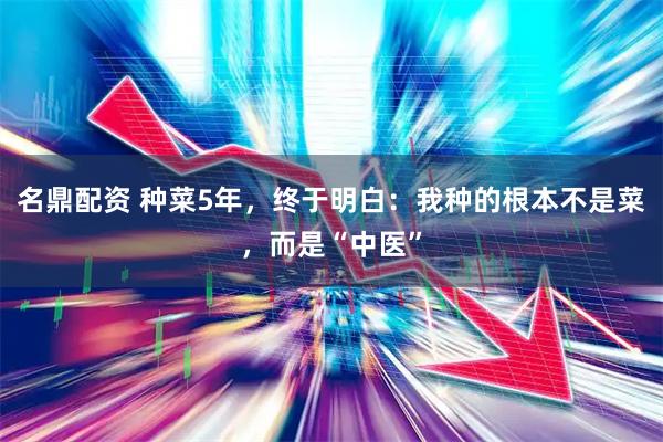 名鼎配资 种菜5年，终于明白：我种的根本不是菜，而是“中医”